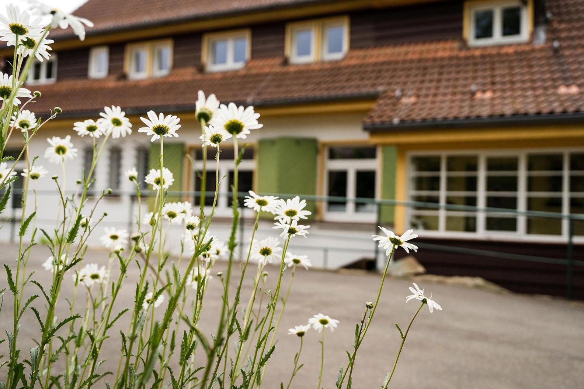 Pension Zum Hexenstieg Ширке Екстер'єр фото